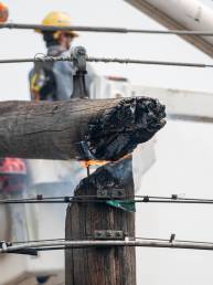 Avista Power Pole Restoration