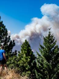 Spokane Wildfire Smoke